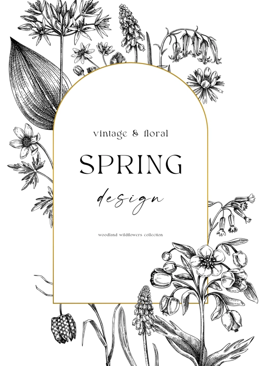 Elegant spring poster design. Wildflowers print in color. Woodland wild flower sketches. Floral background. Botanical card, invitation template . Hand drawn vector illustration, NOT AI